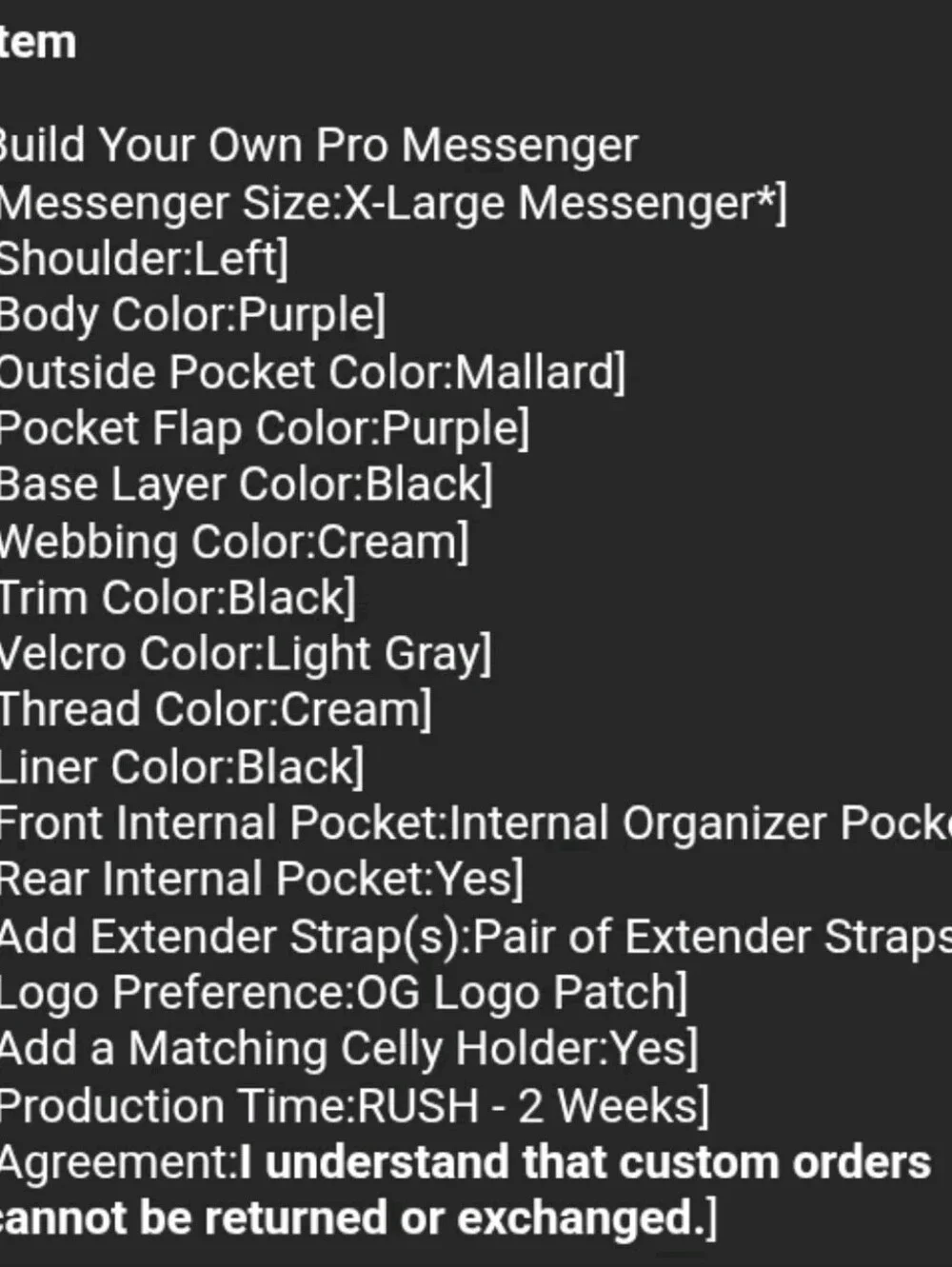 REload XL Full Custom Bicycle Messenger Bag Matching Cell Holster Purple/Teal